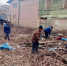 Более 500 горожан вышли на субботник в Павловском Посаде и Электрогорске - Regions.Ru