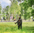 Поросль и сухостои ликвидируют в городском парке и на железнодорожных станциях Электрогорска - Regions.Ru